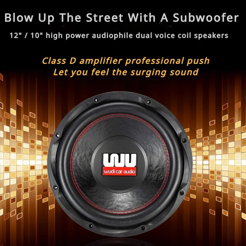 Car 10/12 Inch Dual Magnetic Woofer 2~8Ω Full-range High-power 500w Pure Bass Karaoke Stage Speaker Class D Power Amplifier Push